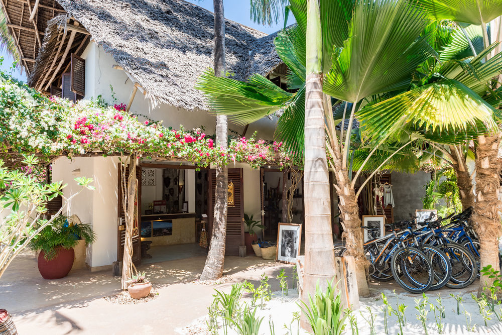 Zoi Beach House Matemwe  Dış mekan fotoğraf